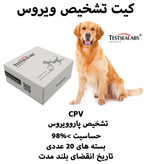 کیت پاروو