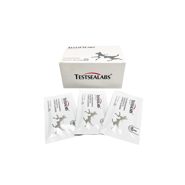 کیت دیستمپر