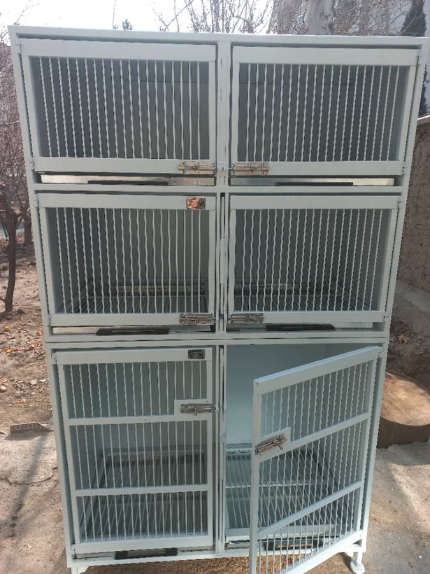 پانسیون ۶ سلول