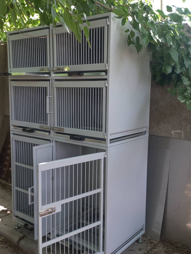 پانسیون ۶ سلول