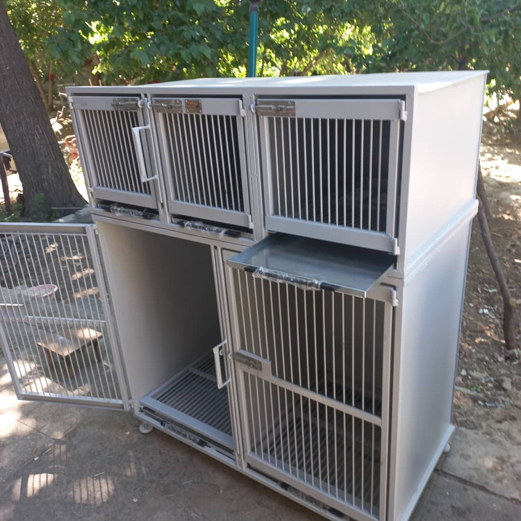 پانسیون ۵ سلول