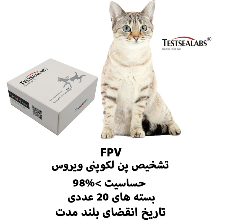 کیت پنلوکوپنی