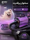 سشوارحرفه ای کودوس cp200